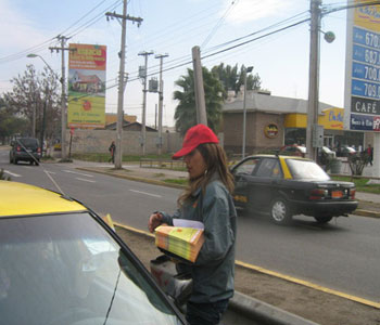 Alto El Manzano